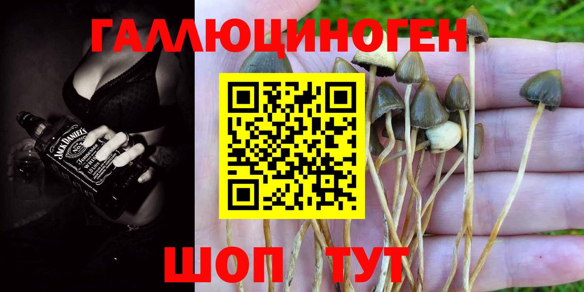 Псилоцибиновые грибы GOLDEN TEACHER  что такое наркотик  Карпинск  Вход с VPN 